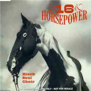 16 Horsepower - Black Soul Choir flac album