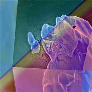 21st Century Wolf - Ideographic Space flac album