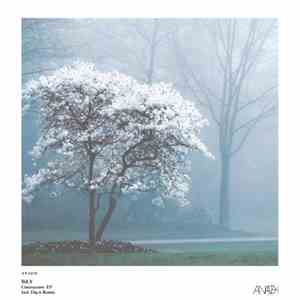 BiLY - Contractura EP flac album