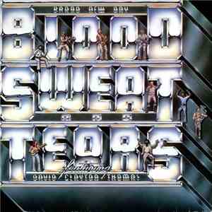 Blood, Sweat And Tears - Brand New Day flac album