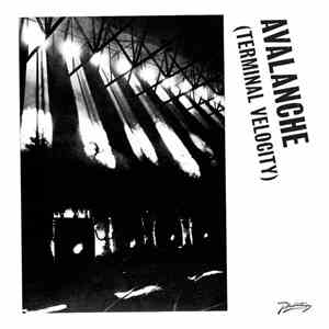 Boys Noize & Erol Alkan Feat. Jarvis Cocker - Avalanche (Terminal Velocity) flac album