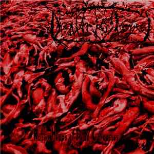 DeathToStrangers - Rotten Heaps Of Dead Carcasses flac album