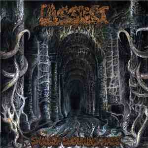 Dissect  - Swallow Swouming Mass flac album
