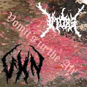 Ebola  / Vomit Hate Noise - Distorted Reality flac album