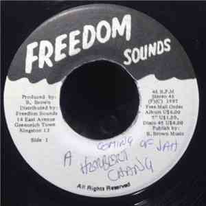 Herbert Chang - Coming of Jah flac album