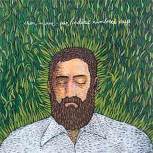 Iron & Wine - Our Endless Numbered Days flac album