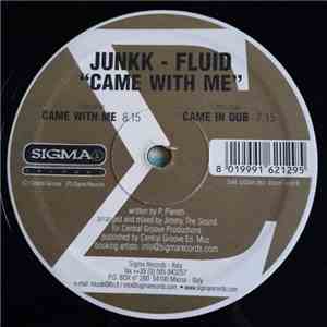 Junkk Fluid - Came With Me flac album