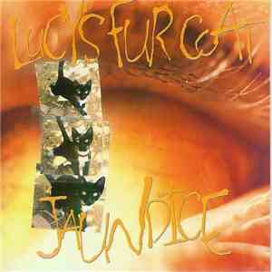 Lucy's Fur Coat - Jaundice flac album