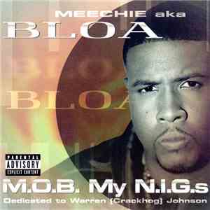 Meechie  AKA Bloa - M.O.B. My N.I.G.s flac album