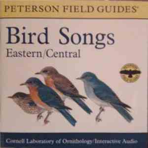 No Artist - Eastern / Central Bird Songs flac album