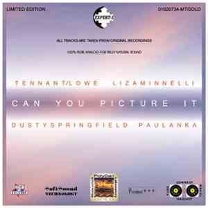 Various - Can You Picture It (Pet Shop Boys) (Series - Expert-Super) flac album