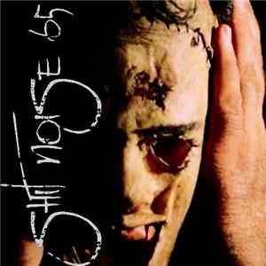 Various - Shit Noise 65 flac album