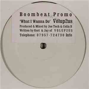 Volup2us - What I Wanna Do flac album
