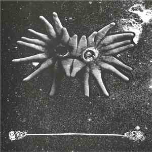 Water Torture, +HIRS+ - Water Torture / +HIRS+ flac album