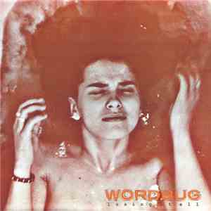 Wordbug - Losing It All flac album