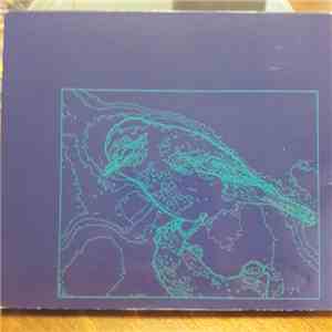 By Symmetry - Math Of Birds flac album