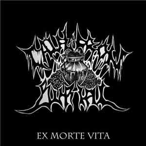Cauldron Burial / Salal - Split 7" flac album