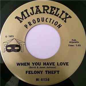 Felony Theft - When You Have Love / Run For Cover flac album