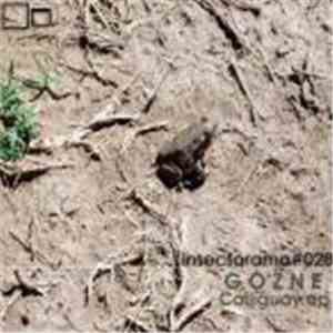 Gozne - Colliguay EP flac album