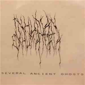 Inhuman Exhumatoria - Several Ancient Ghost flac album