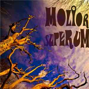 Molior Superum - Towards The Haze flac album