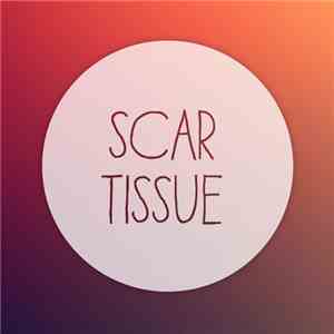 N'to - Scar Tissue flac album