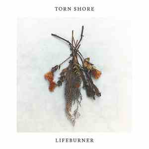 Torn Shore - Lifeburner flac album