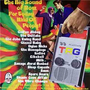 Various - TRG Sampler '96 flac album