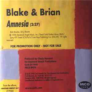 Blake & Brian - Amnesia flac album