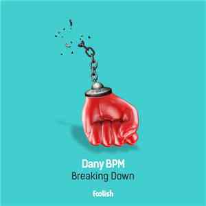 Dany BPM - Breaking Down flac album