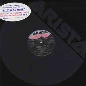 David A. Stewart - Lily Was Here (DNA Remixes) flac album