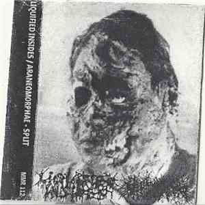 Liquified Insides / Araneomorphae - Split flac album