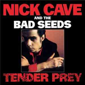 Nick Cave And The Bad Seeds - Tender Prey flac album