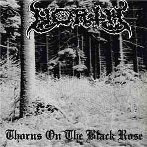 North  - Thorns On The Black Rose flac album