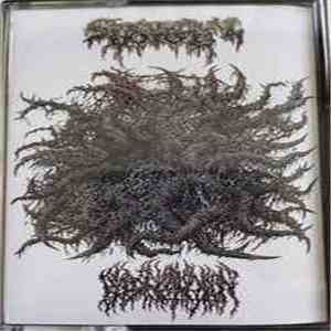 Spectral Voice / Blood Incantation - Spectral Voice / Blood Incantation flac album