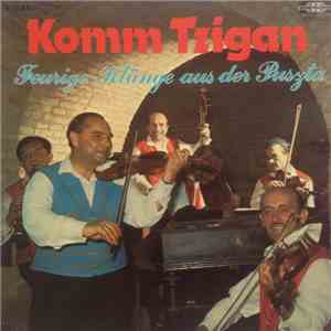 Unknown Artist - Komm Tzigan flac album