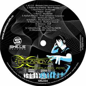 Various - Delahoya - The Compilation 2010 flac album
