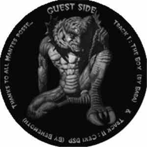 Various - DSP 07 flac album