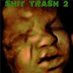 Various - Shit Trash 2 flac album