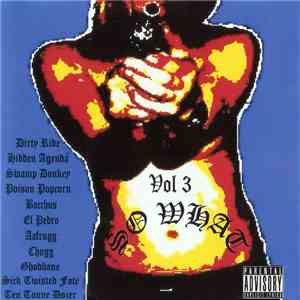 Various - So What Volume 3 flac album