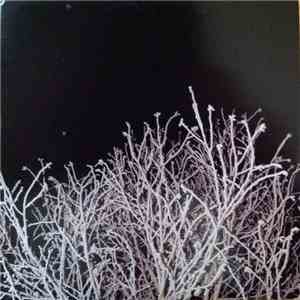 Various - Sonically Speaking Vol 51: Februari 2010 flac album