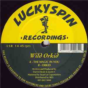 Wild Orkid - The Magic In You / Orkid flac album