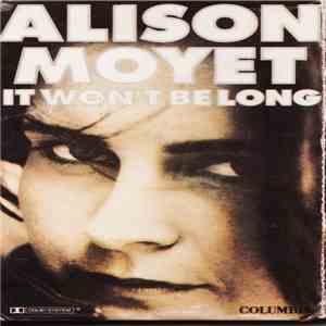 Alison Moyet - It Won't Be Long flac album