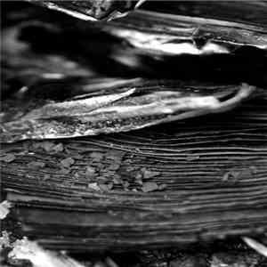 Bleak Existence - One Step Forward, Two Steps Back flac album