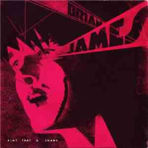Brian James - Ain't That A Shame flac album