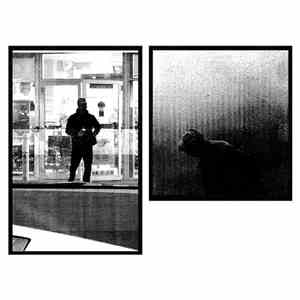 Death Kneel & Theodore Cale Schafer - Never Really Knew Me flac album