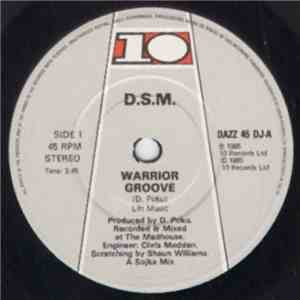 D.S.M. - Warrior Groove flac album