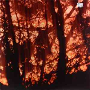 Earthen Sea / Insect Factory - Earthen Sea / Insect Factory flac album