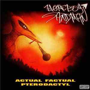 Homeboy Sandman - Actual Factual Pterodactyl flac album