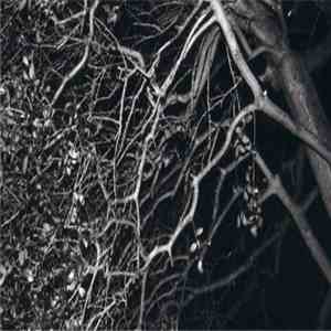 Inez Lightfoot - Live flac album